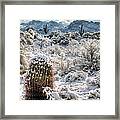 Desert Snow Framed Print