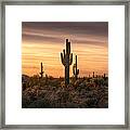 Desert Southwest Sunset Framed Print