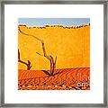 Namibia Desert Still Life Framed Print