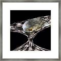 Designer Lily Framed Print