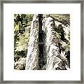 Devils Slide Framed Print