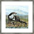 Devon Otter Framed Print