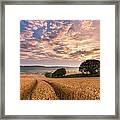 Devon Sunrise, England Framed Print