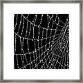 Dew Laden Spider Web Framed Print