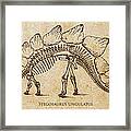 Dinosaur Stegosaurus Ungulatus Framed Print
