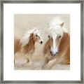 Direct Contact Framed Print