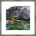 Diving Off Of Lion's Head Catalina Framed Print