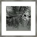 Dizzy Framed Print