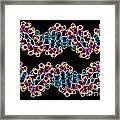 Dna Double Helixes Framed Print