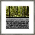 Do It Anyway Bamboo Forest Framed Print