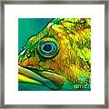 Do You Truly See Me Framed Print