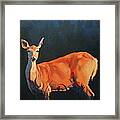 Doe At Stockade Framed Print