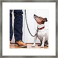 Dog And Owner Framed Print