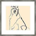 Dog - Lassie Framed Print
