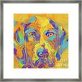 Dog Noor Framed Print