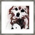 Dog Playing With Toy Framed Print
