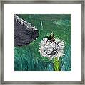 Dog Smelling Flower Framed Print