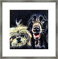 Dogs - Pencil Drawing Framed Print