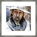 Don Quixote Framed Print