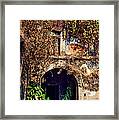 Door At Old Portuguese House. Goa. India Framed Print