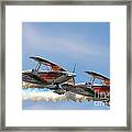 Double Iron Eagles Framed Print