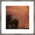 Double Red Rainbow With Tree In Jerome Framed Print