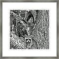 Double Trouble Framed Print