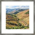 Douro River Vineyards, Portugal Framed Print
