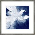 Dove Watercolor Painting Of Birds Framed Print