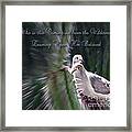 Love Doves Framed Print