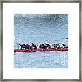 Dragon Boat Rowers Framed Print