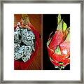 Dragon Fruit Framed Print