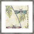 Dragonflies In The Summertime-jp2325 Framed Print