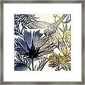 Dragonfly With Cosmos Framed Print