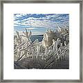 Draped In Icy Beauty Framed Print