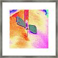 Drawing Blood With A Butterfly Catheter Framed Print