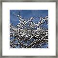 Dreaming Of A White Christmas Framed Print