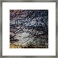 Dreamy 2 Framed Print