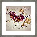 Dreamy Orchid Framed Print