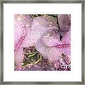 Dreamy Romantic Pink Butterflies Purple Lilac - Butterfly Shabby Chic Prints Framed Print