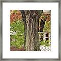 Old Maple Tree Dressed For Fall Framed Print
