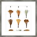Dried Flowers Collection Framed Print