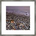 Dried Leaves Of The Sea Framed Print