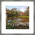 Dried Up Pond Framed Print