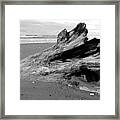 Drifter I Framed Print