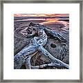 Driftwood And Sunset Framed Print