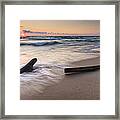 Driftwood On The Beach Framed Print