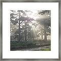 Driveway To Paradise Framed Print