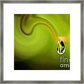 Droplet Ready To Drip Framed Print