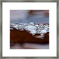 Drops Framed Print